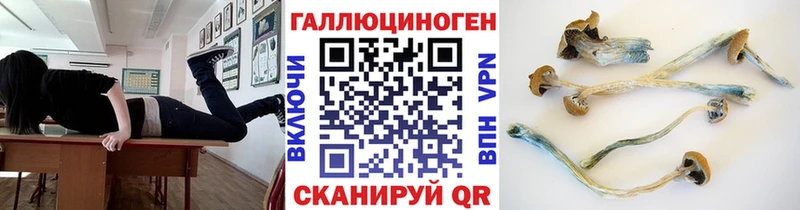 Псилоцибиновые грибы мицелий  Нижний Новгород 